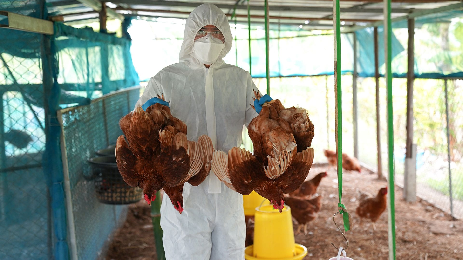 Fehlgeleitete Seuchenpanik | Von Felix Feistel