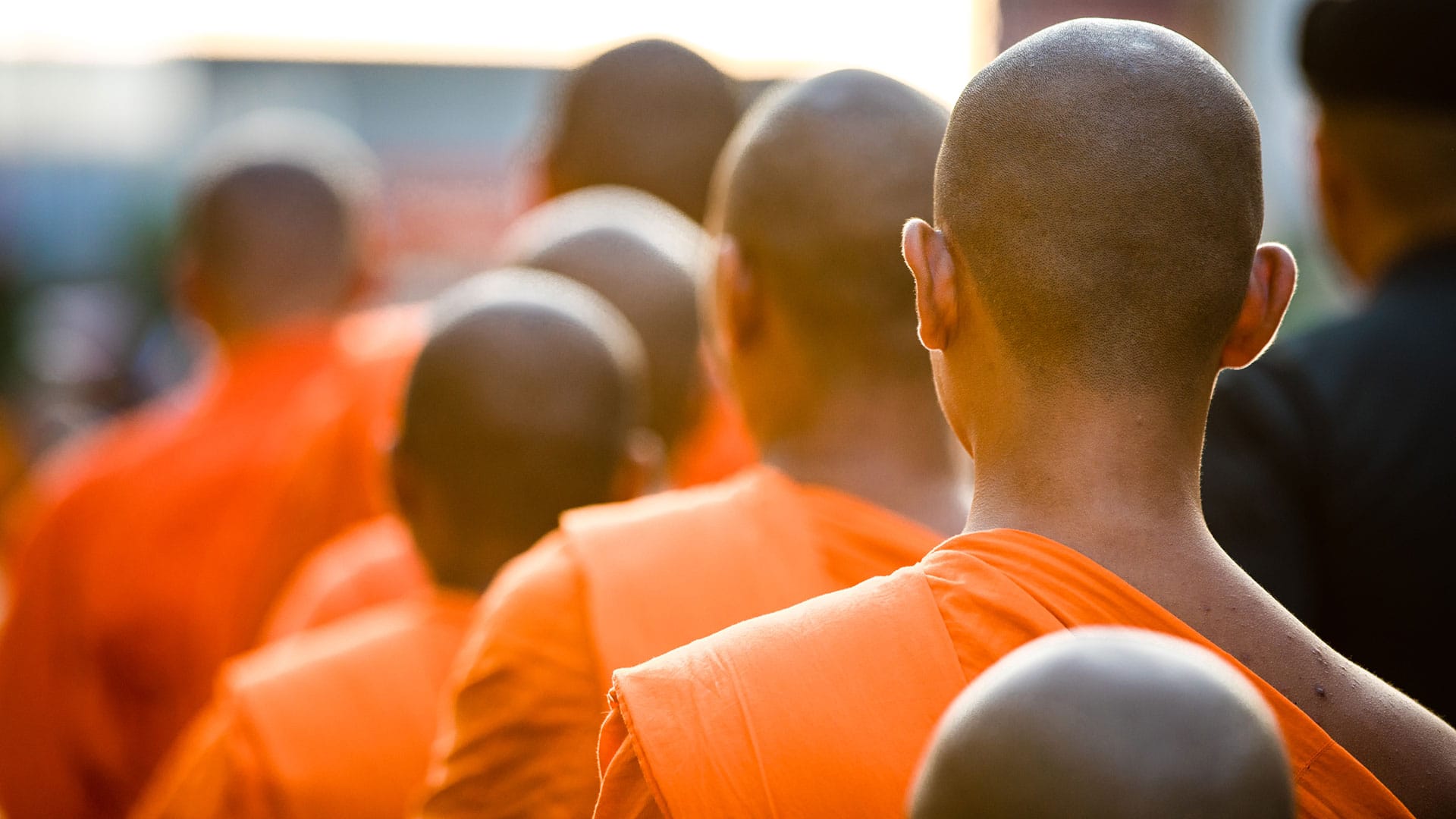 Wie durchbrechen wir den Hassschirm? | Von Hermann Ploppa