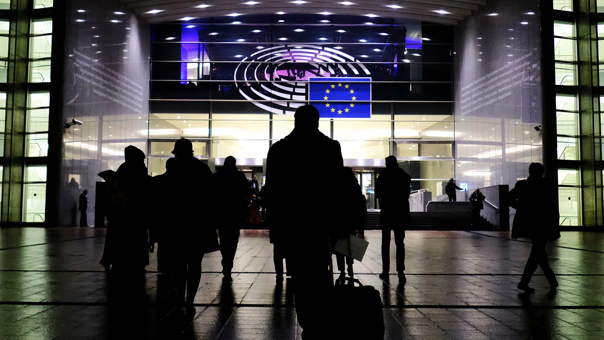 Aus dem Koma erwacht | Von Anna Zollner