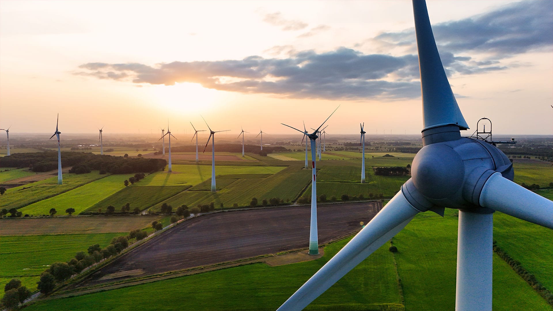 USA beendet Klimairrsinn | Von Claudia Töpper