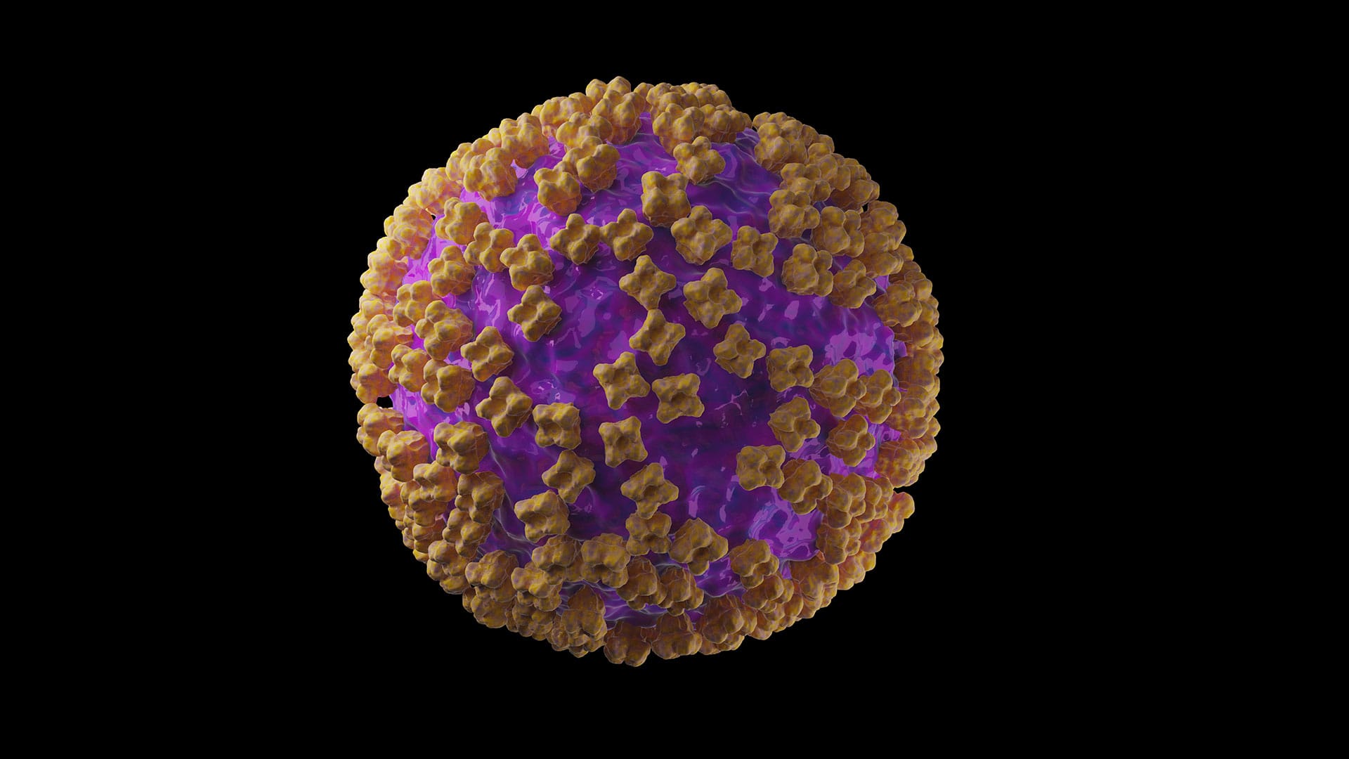 Hantavirus – Beginn der Volksverarschung 2.0? | Von Uwe Froschauer