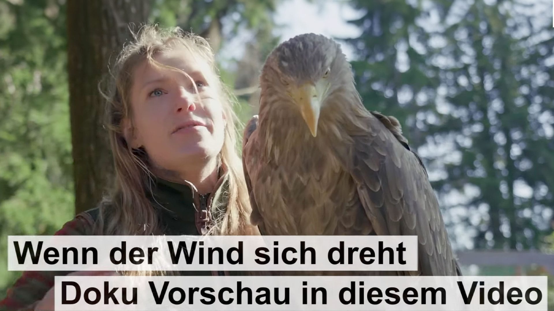 "Wenn der Wind sich dreht" | Die Windkraft-Doku (Vorschau & Live-Premiere)
