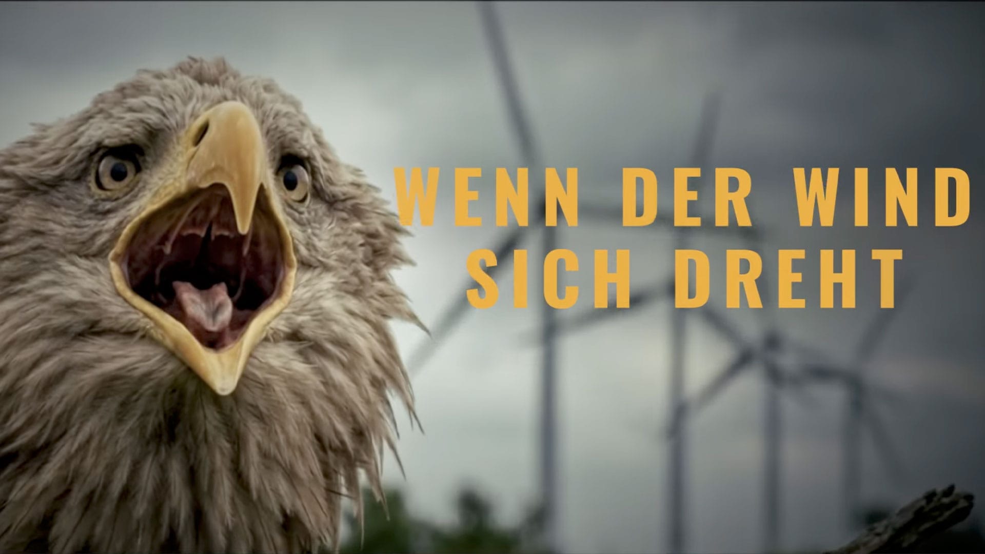 "Wenn der Wind sich dreht" | Die Windkraft-Doku (Teaser #1)