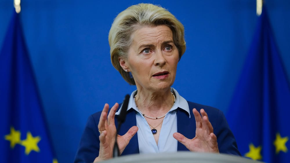 Kiew übergibt der EU seine Rüstungsindustrie | Von Thomas Röper Beitragsbild