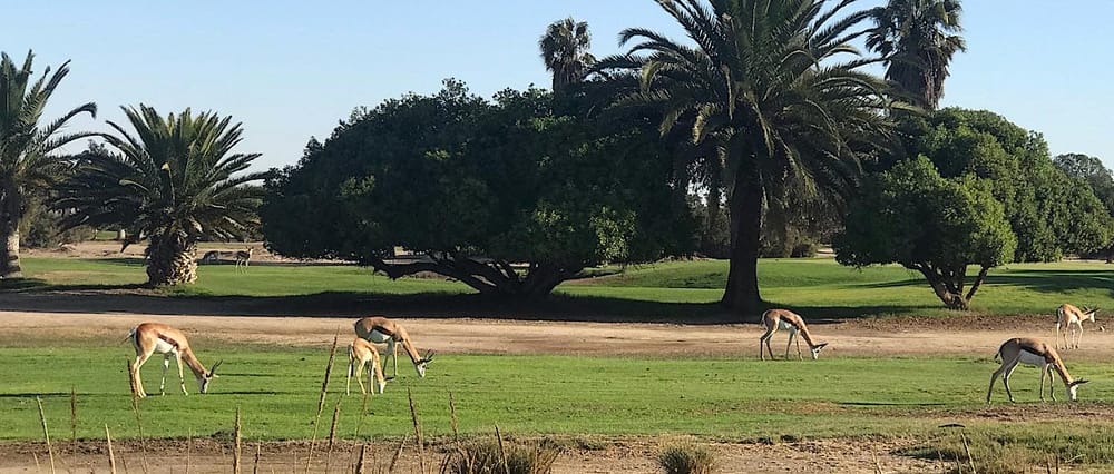 Die ersten Tage in Namibia | Von Jochen Mitschka Beitragsbild