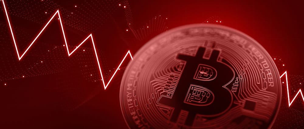 Bitcoin: Was steckt hinter dem Absturz? | Von Ernst Wolff Beitragsbild