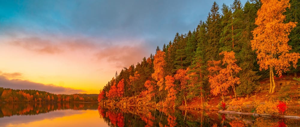 Kompaktkurs Journalismus (Herbstkurse) Beitragsbild