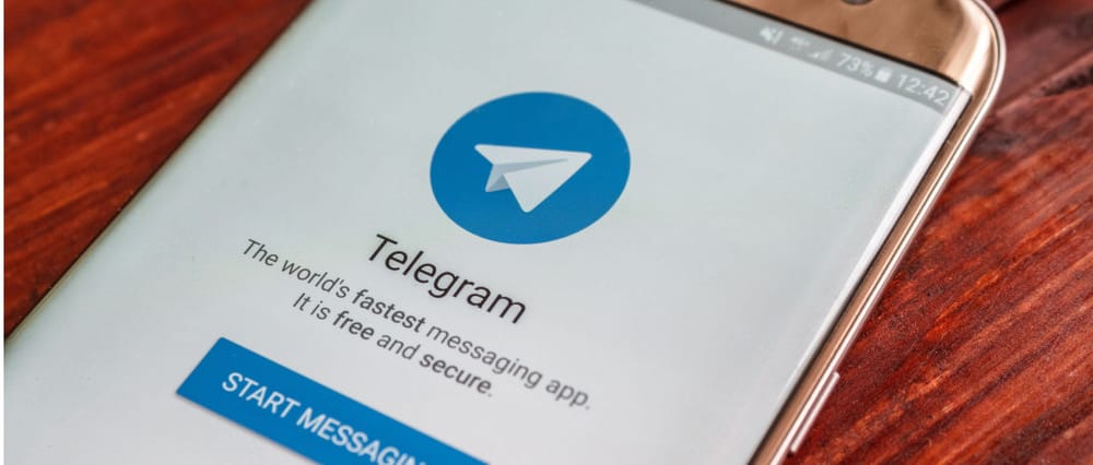 Telegram: Warum die Bundesregierung zum Lukaschenko-Versteher werden müsste | Von Thomas Röper Beitragsbild