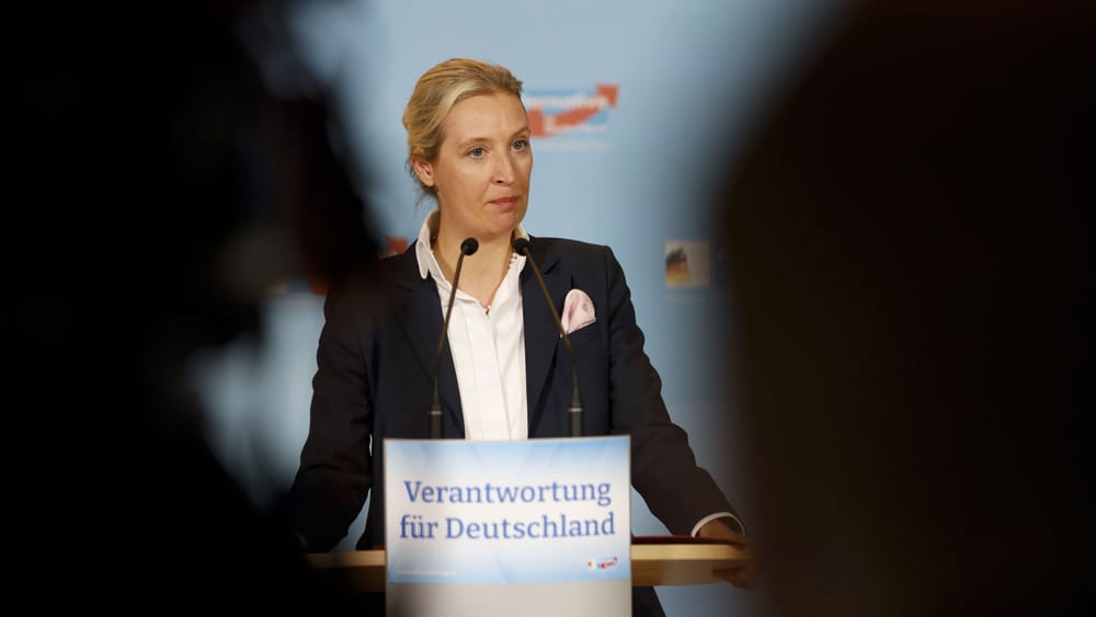 Dr. Alice Weidel – Raffiniert für Blöde Beitragsbild