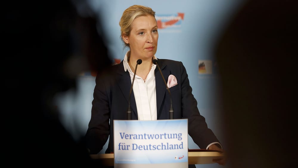 Weidel: „Hitler war Kommunist“ – Blödsinn oder Volksverhetzung? | Von Wolfgang Effenberger Beitragsbild