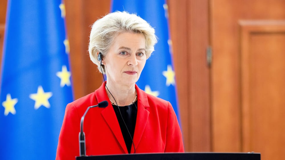 Treten Sie trotzdem zurück, Frau von der Leyen! | Von Uwe Froschauer Beitragsbild