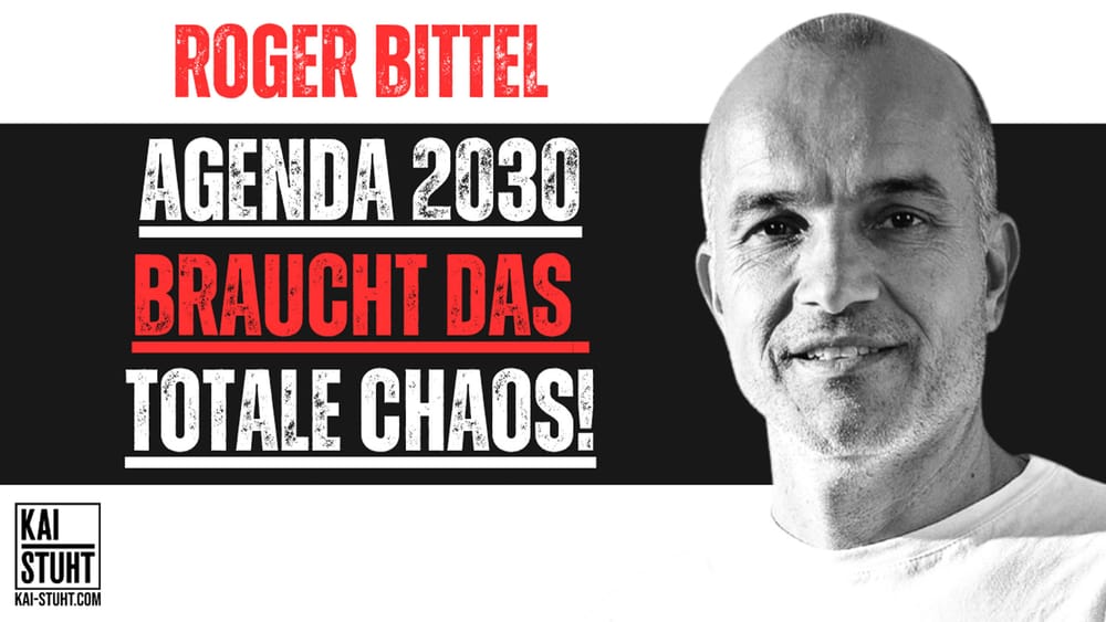 Interview mit Roger Bittel – AGENDA 2030 braucht das totale Chaos Beitragsbild