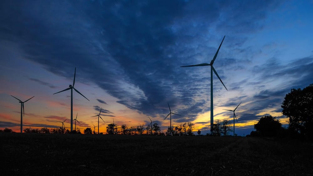 „Der Klimaschwindel ist genau das: ein Schwindel!“ Beitragsbild
