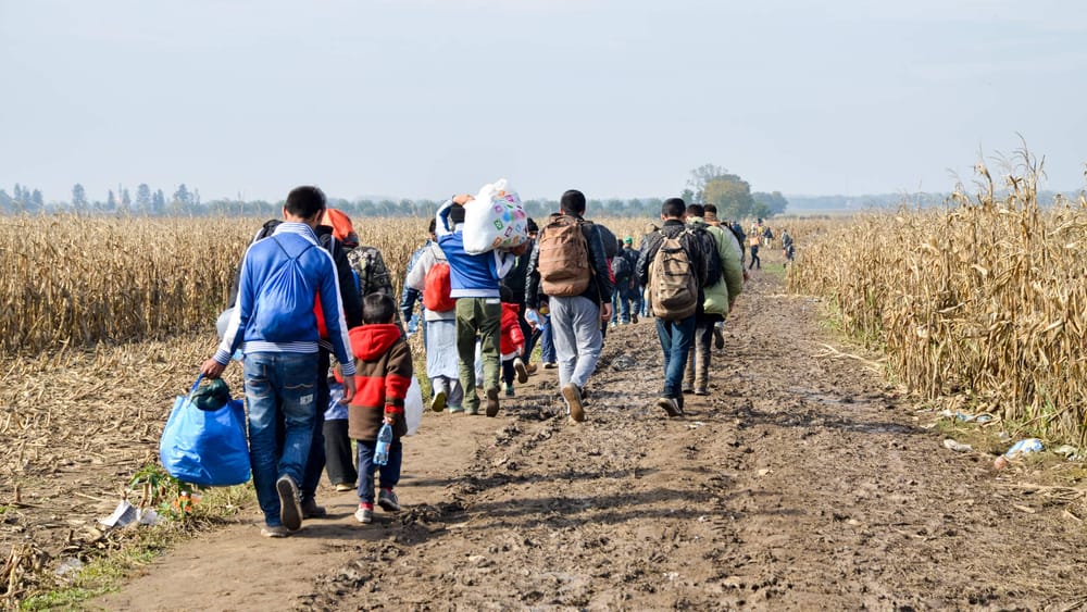 Das Flüchtlingsnarrativ | Von Jochen Mitschka Beitragsbild