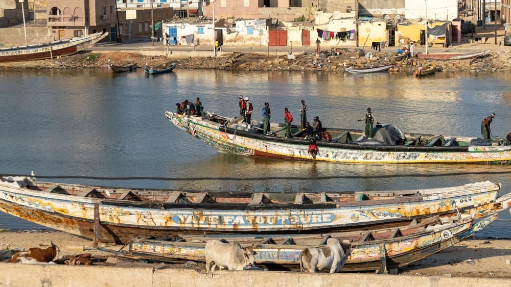 Migration: Die Folgen der Globalisierung | Von Jochen Mitschka Beitragsbild