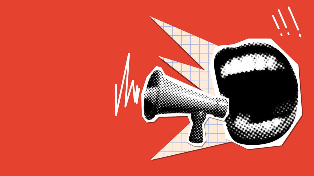 »Du dumme Sau!« | Von Tom-Oliver Regenauer Beitragsbild