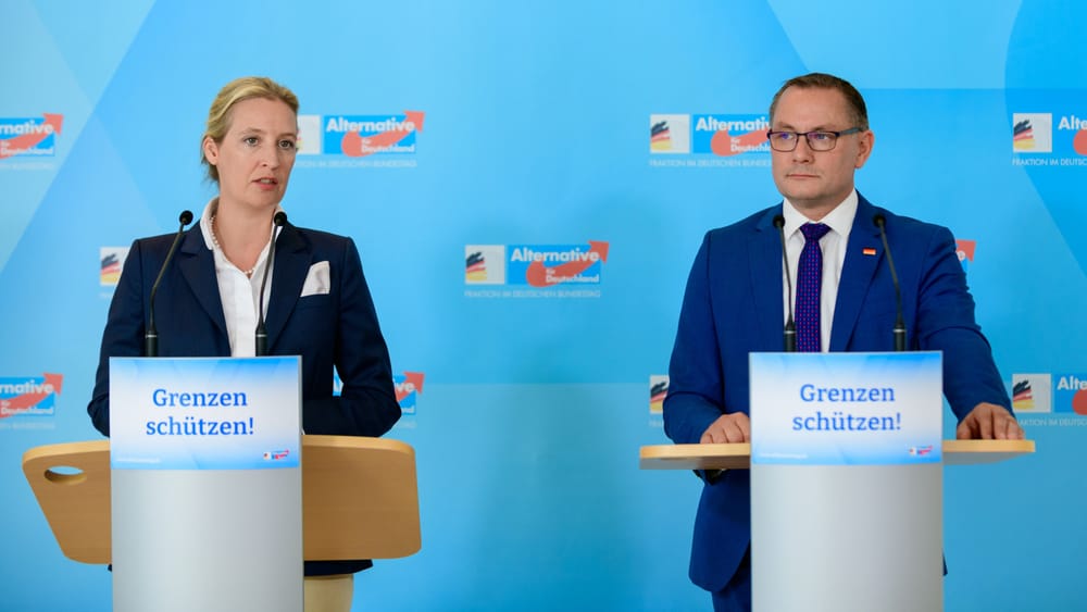 Die etablierten „Panikclowns“ und ihr Lieblingsdämon, die AfD | Von Janine Beicht Beitragsbild