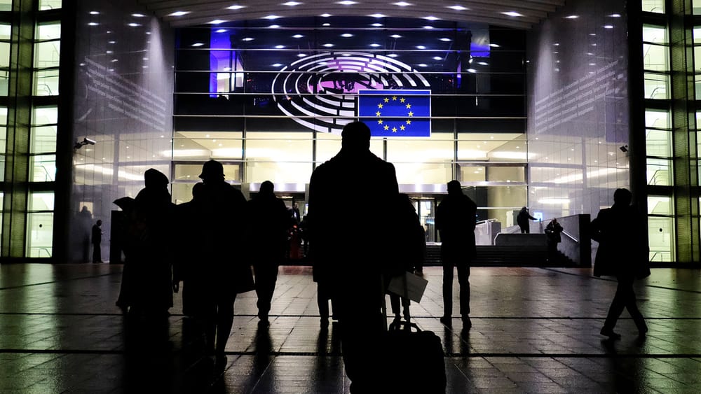 Aus dem Koma erwacht | Von Anna Zollner Beitragsbild