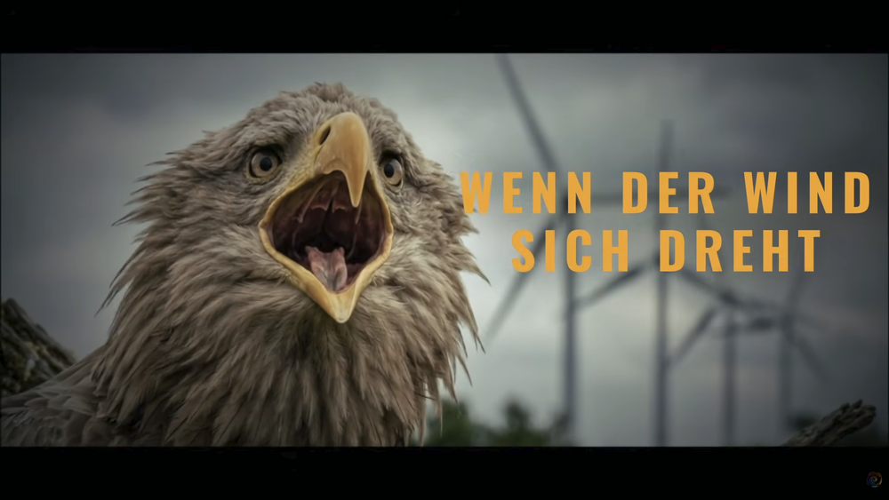 WENN DER WIND SICH DREHT | Teaser #1 – König der Lüfte Beitragsbild