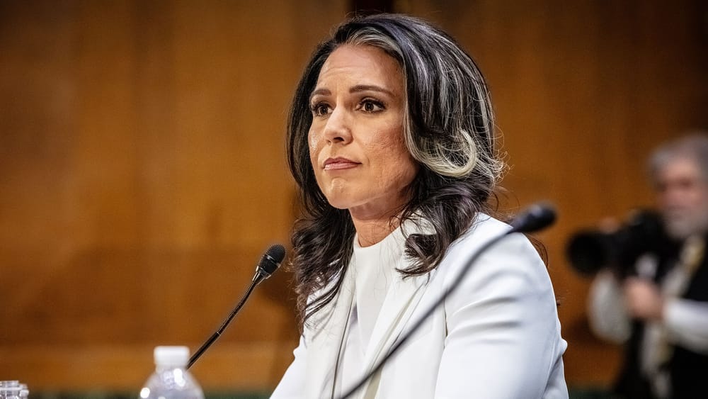 Gabbard packt aus: Das globale Labornetzwerk | Von Thomas Röper Beitragsbild