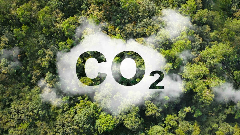 Klimalüge und Klimadiktatur (Teil 5): CO2 – vom Lebenselixier zum Klimakiller? | Von Uwe Froschauer Beitragsbild
