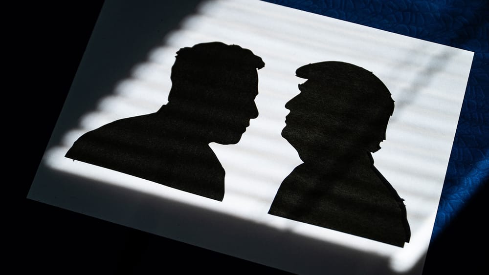 Das Handbuch der Grenzfälle: Wie Brüssel "Anti-Elite-Content" zur Bedrohung erklärt | Von Dirk Ellerbrock Beitragsbild