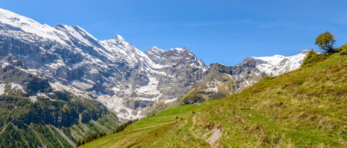 Einfach nur die falschen Wörter weglassen