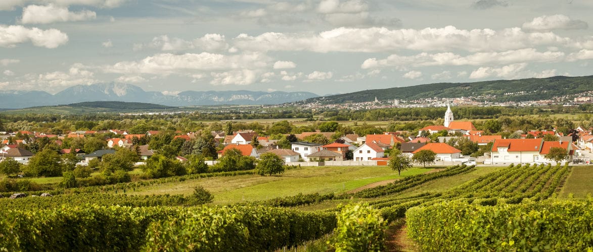 Erste Wonnen im Burgenland