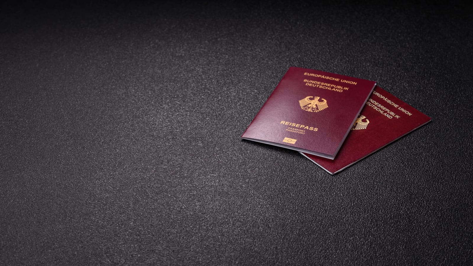 Das Auswanderungsland | Von Ullrich Mies