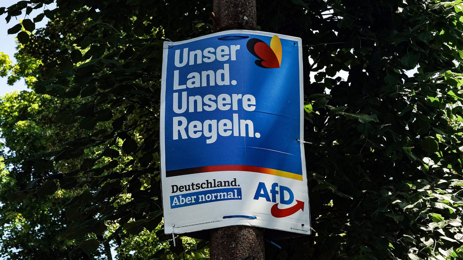 Gutachten: AfD laut Experten "nachweislich verfassungsfeindlich"