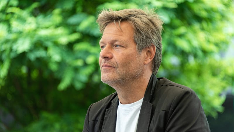 Transformation um jeden Preis – Ideologische Grüne und ihre Widersprüche | Von Uwe Froschauer Beitragsbild