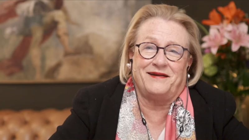 Spotlight: Catherine Austin Fitts über den Finanzputsch in den USA Beitragsbild