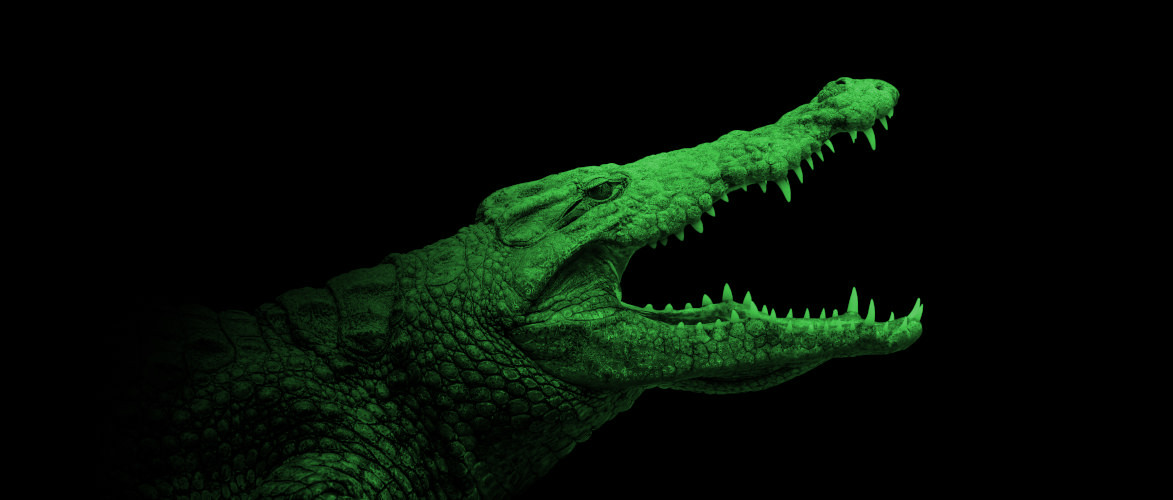 Das Zeitalter des Krokodils (Teil 2) | Von Uwe G. Kranz
