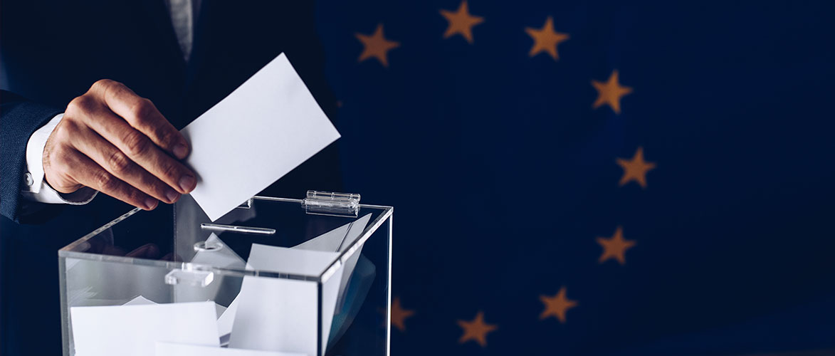 EU-Wahl 2024 Teil 2 | Von Wolfgang Effenberger